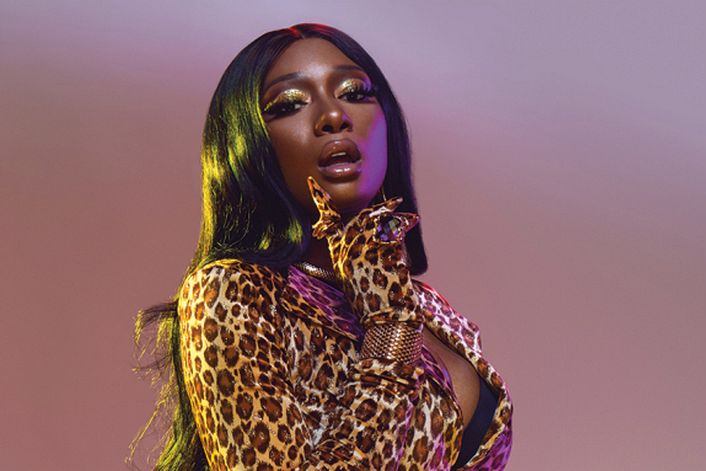 Megan Thee Stallion booking agent BnMusic